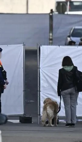 (Ảnh minh họa. Nguồn: BELGA)