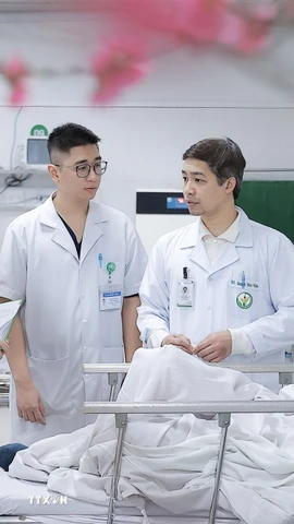 (Ảnh minh họa. Minh Quyết/TTXVN)