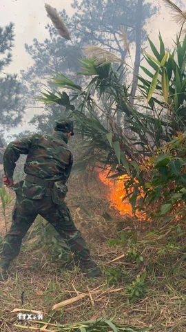 Lực lượng chức năng nỗ lực dập tắt một đám cháy rừng thực bì. (Ảnh: Văn Đảm/TTXVN phát)