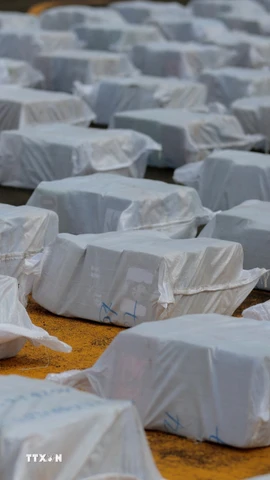 (Ảnh minh họa. AFP/TTXVN)