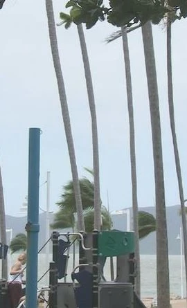 Bão đổ bộ gây gió mạnh. (Ảnh: 9News)