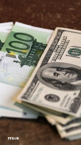 Đồng tiền giấy mệnh giá 100 euro (trái) và 100 USD. (Ảnh: AFP/TTXVN)