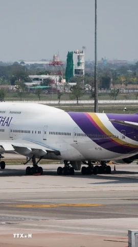 Máy bay của Thai Airways tại sân bay Suvarnabhumi ở Bangkok, Thái Lan. (Ảnh: AFP/TTXVN)