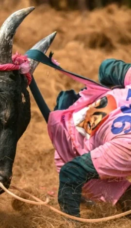 (Ảnh minh họa. Nguồn: AFP)