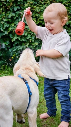 (Ảnh minh họa. Nguồn: Getty images)