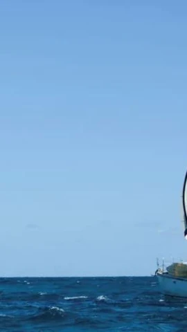 Hai chiếc thuyền buồm Friendship và Tigger Moth, chở hàng viện trợ nhân đạo cho Cuba rời đảo Isla Mujeres, bang Quintana Roo, hôm 21/3. (Ảnh: Reuters)