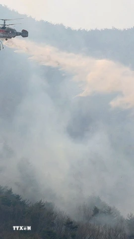 Trực thăng cứu hỏa phun nước dập cháy rừng tại tỉnh Nam Gyeongsang, Hàn Quốc. (Ảnh: Yonhap/TTXVN)