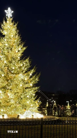 Cây thông Noel Quốc gia Mỹ rực rỡ ánh đèn trong mùa lễ hội, bên cạnh biểu tượng Tháp Bút chì (Washington Monument) nổi tiếng của thủ đô Washington DC. (Ảnh: Ngọc Quang/TTXVN)
