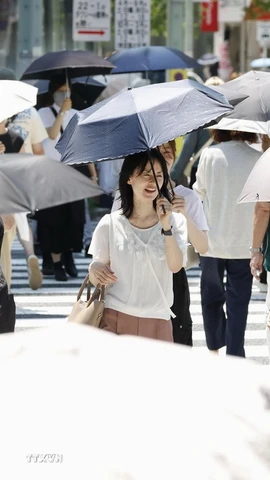 Người dân di chuyển dưới trời nắng gắt tại Ginza, Nhật Bản. (Ảnh: Kyodo/TTXVN)