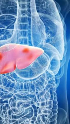 (Ảnh: Getty images)