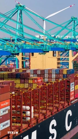 Quang cảnh cảng hàng hóa tại Thiên Tân, Trung Quốc. (Ảnh: THX/TTXVN)