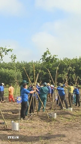 Phát động trồng cây xanh. (Ảnh: K GỬIH/TTXVN)