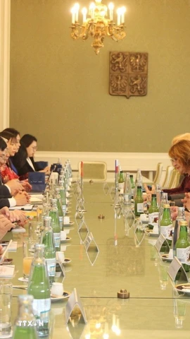 Quang cảnh buổi làm việc giữa Đoàn công tác của Học viện Chính trị quốc gia Hồ Chí Minh và các đại diện Thượng Viện, Cộng hòa Séc. (Ảnh: Việt Thắng/TTXVN)