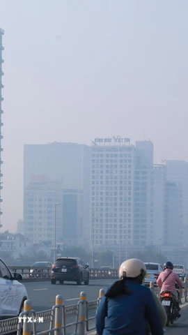 (Ảnh minh họa: Phan Phương/TTXVN)