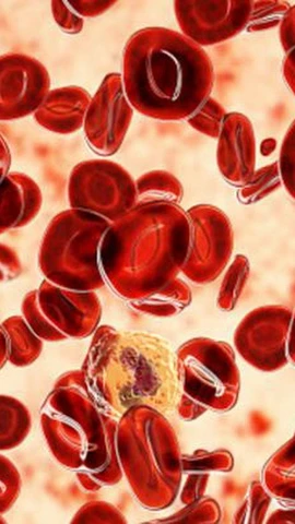 Ảnh minh họa. (Ảnh: Getty images)