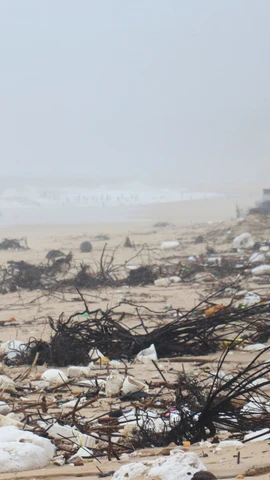 Nhiều loại rác thải dạt vào bãi tắm Trung Giang, xã Bến Hải (Quảng Trị) sau mưa bão. (Ảnh: Tường Vi/TTXVN)