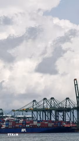 Các tàu chở hàng tại cảng Singapore. (Ảnh: THX/TTXVN)