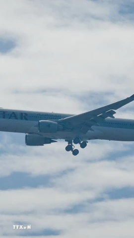 Máy bay của hãng hàng không Qatar Airways. (Ảnh: THX/TTXVN)