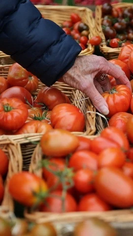 (Ảnh minh họa. AFP/TTXVN)