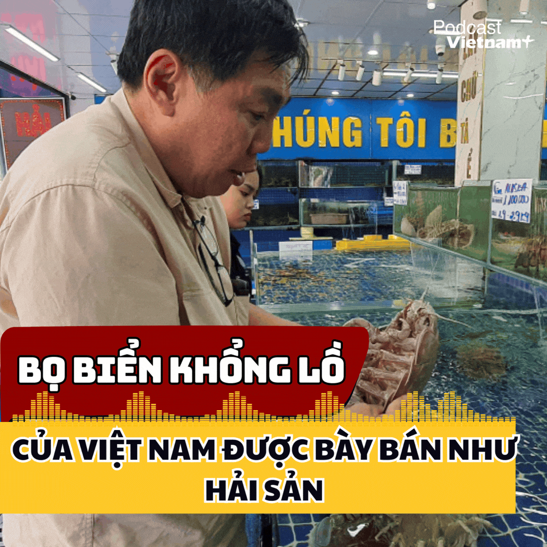 Tin nóng 18/1: Bọ biển khổng lồ mới của Việt Nam được bày bán như hải sản