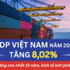 Kinh tế Việt Nam 2025: Tăng trưởng bứt phá, GDP tăng 8,02% 