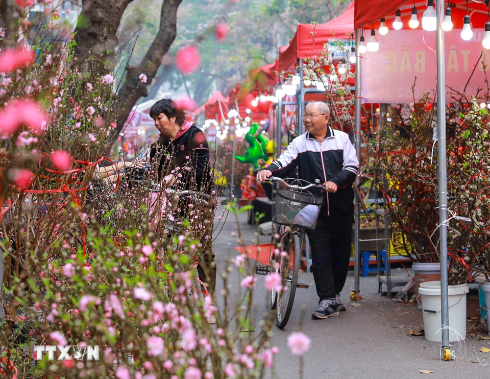 Đối với nhiều người đi chợ hoa Hàng Lược là một thú vui, một thói quen mỗi độ Tết đến Xuân sang. (Ảnh: Khánh Hòa/TTXVN)