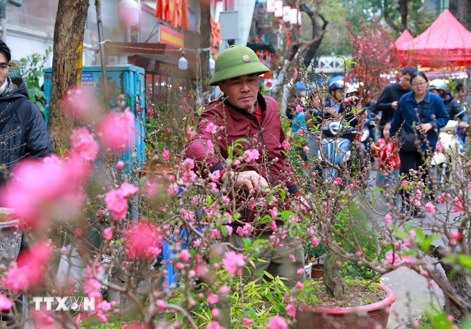Không khí mua sắm nhộn nhịp cùng những sắc màu rực rỡ của mùa Xuân giữa lòng phố cổ tạo nên sức hấp dẫn cho chợ hoa Hàng Lược. (Ảnh: Khánh Hòa/TTXVN)