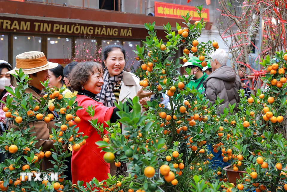 Tới chợ hoa Hàng Lược người ta không chỉ đi mua sắm những mặt hàng thiết yếu mà còn tận hưởng không khí Tết cận kề. (Ảnh: TTXVN)