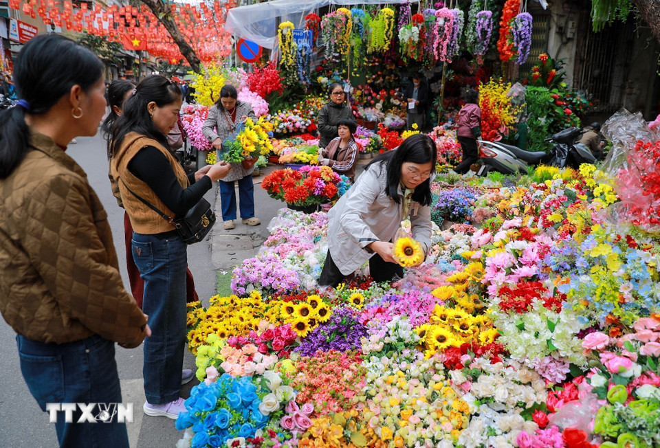 Tới chợ hoa Hàng Lược người ta không chỉ đi mua sắm những mặt hàng thiết yếu mà còn tận hưởng không khí Tết cận kề. (Ảnh: Khánh Hòa/TTXVN)