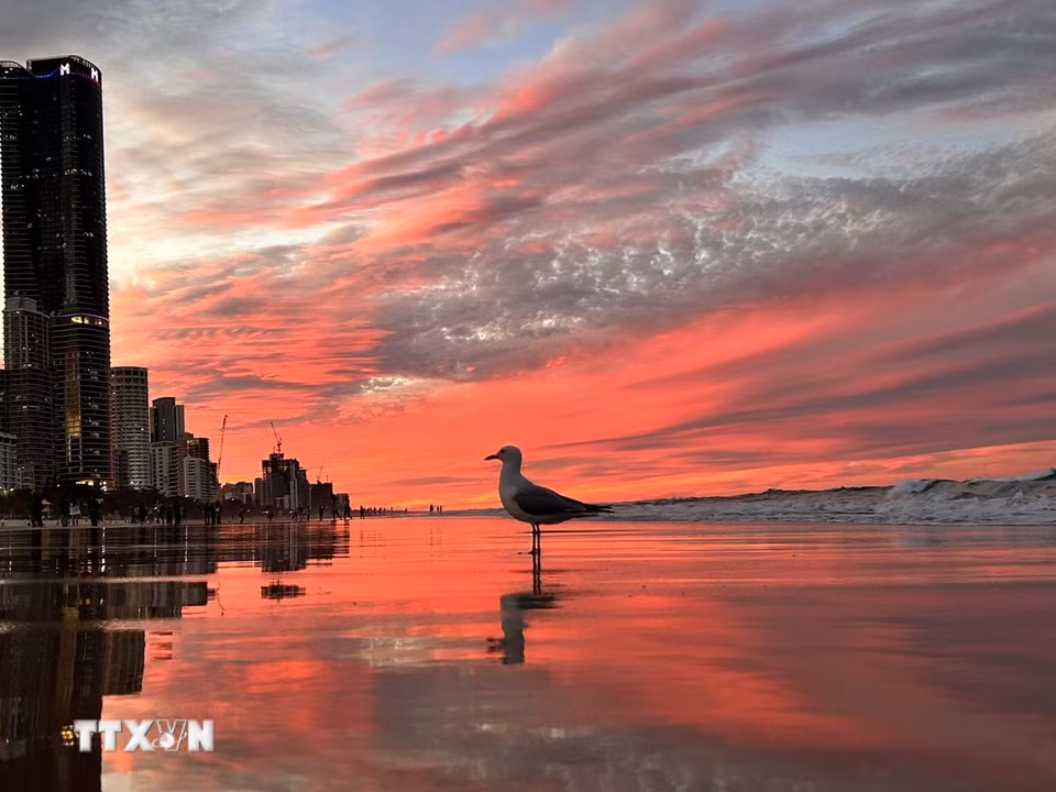 Hoàng hôn đỏ rực tại thị trấn Surfers Paradise trong mùa Đông Australia. (Ảnh: Thanh Tú/TTXVN)