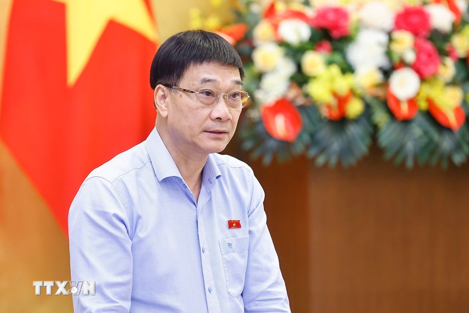 Phó Chủ tịch Quốc hội Vũ Hồng Thanh phát biểu. (Ảnh: Doãn Tấn/TTXVN)