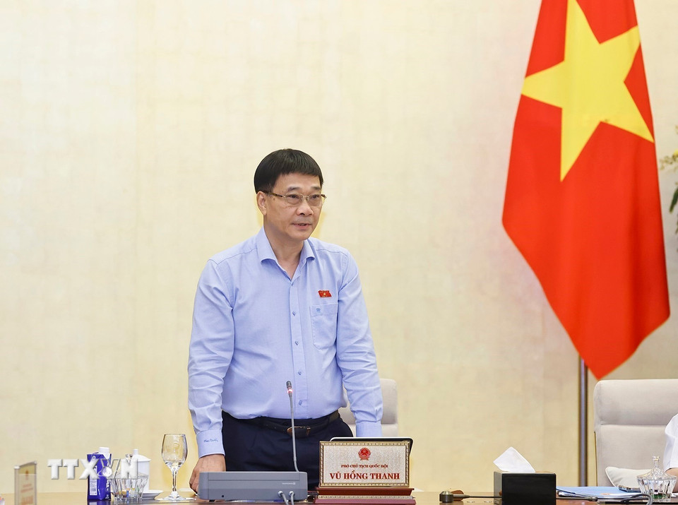 Phó Chủ tịch Quốc hội Vũ Hồng Thanh phát biểu. (Ảnh: Doãn Tấn/TTXVN)