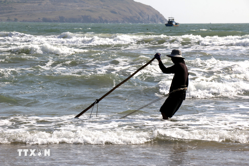Ngư dân cào chằng chằng tại bờ biển Mũi Né, phường Mũi Né, tỉnh Lâm Đồng. (Ảnh: Hồng Hiếu/TTXVN)