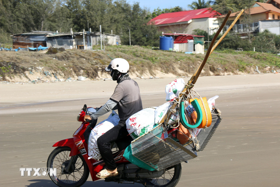 Trung bình mỗi ngày, mỗi ngư dân cào được khoảng từ 100 đến 200 kg chằng chằng, thu nhập khoảng 250.000- 500.000 đồng. (Ảnh: Hồng Hiếu/TTXVN)