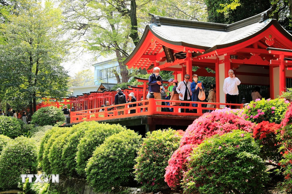 Mái đền cổ kính là nơi nghỉ chân của du khách sau khi đi qua dãy cổng Torii đỏ rực hoa đỗ quyên. (Ảnh: Xuân Giao/TTXVN)