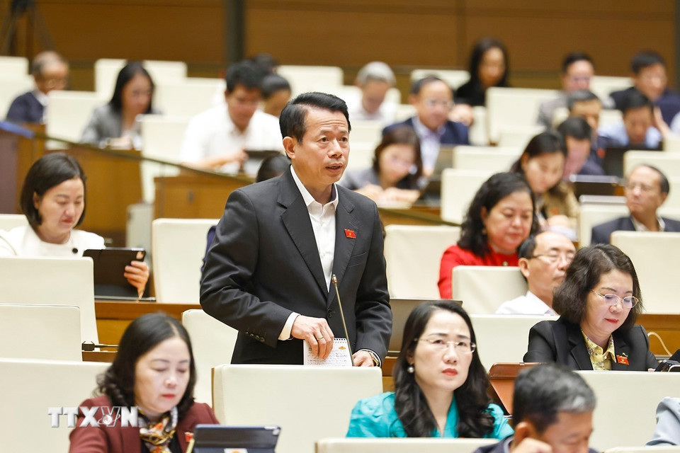 Đại biểu Quốc hội tỉnh Ninh Bình Nguyễn Hải Dũng phát biểu. (Ảnh: Doãn Tấn/TTXVN)