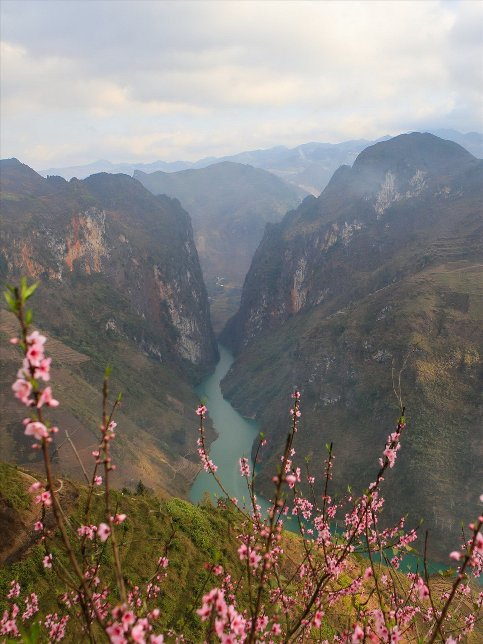 Hoa đào tô điểm vẻ kỳ vĩ của hẻm Tu Sản. (Ảnh: Báo ảnh Việt Nam)