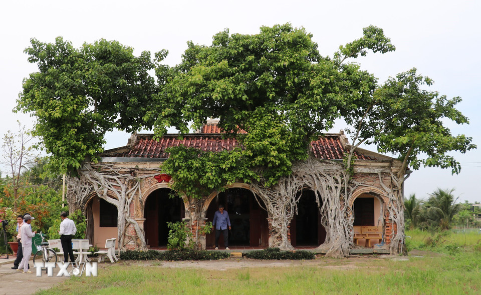 Ngôi đình Tân Đông thường xuyên được Ban phụng sự cùng người dân đến thắp hương, chiêm bái. (Ảnh: Hữu Chí/TTXVN)