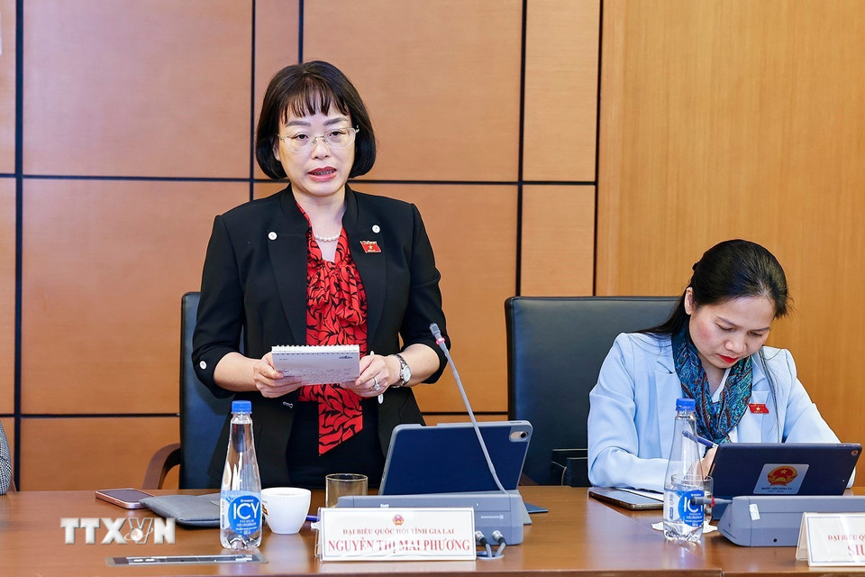 Đại biểu Quốc hội tỉnh Gia Lai Nguyễn Thị Mai Phương phát biểu. (Ảnh: Doãn Tấn/TTXVN)