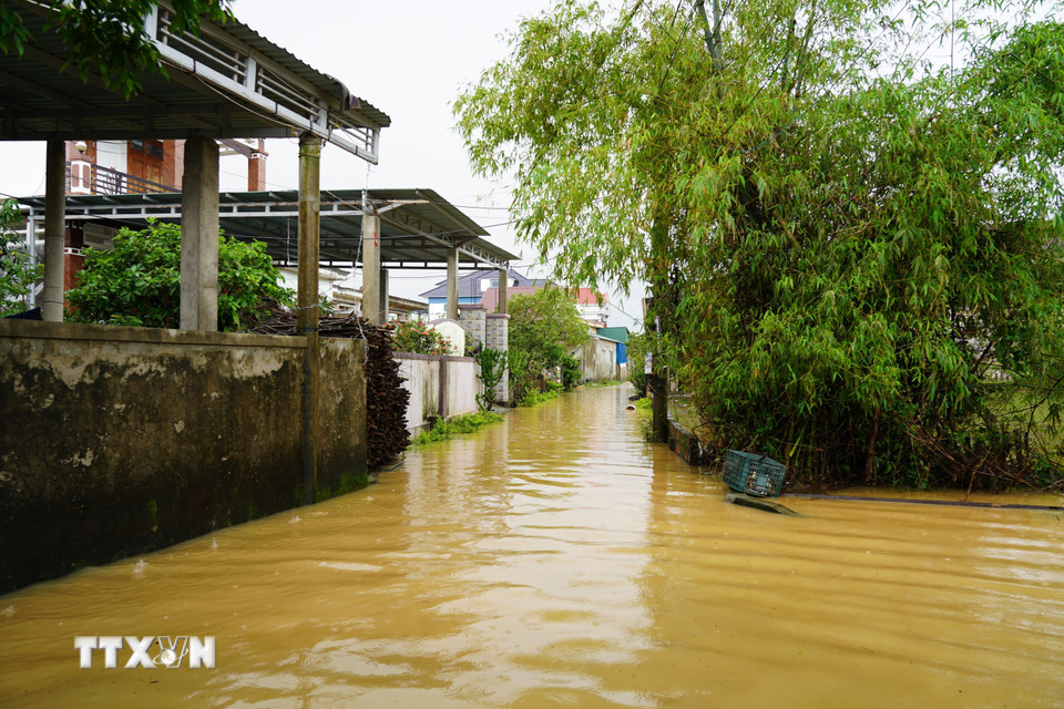 Hệ thống đường giao thông của thôn Tiền Phong, xã Bắc Trạch, bị ngập sâu trong nước. (Ảnh: Thanh Thủy/TTXVN)
