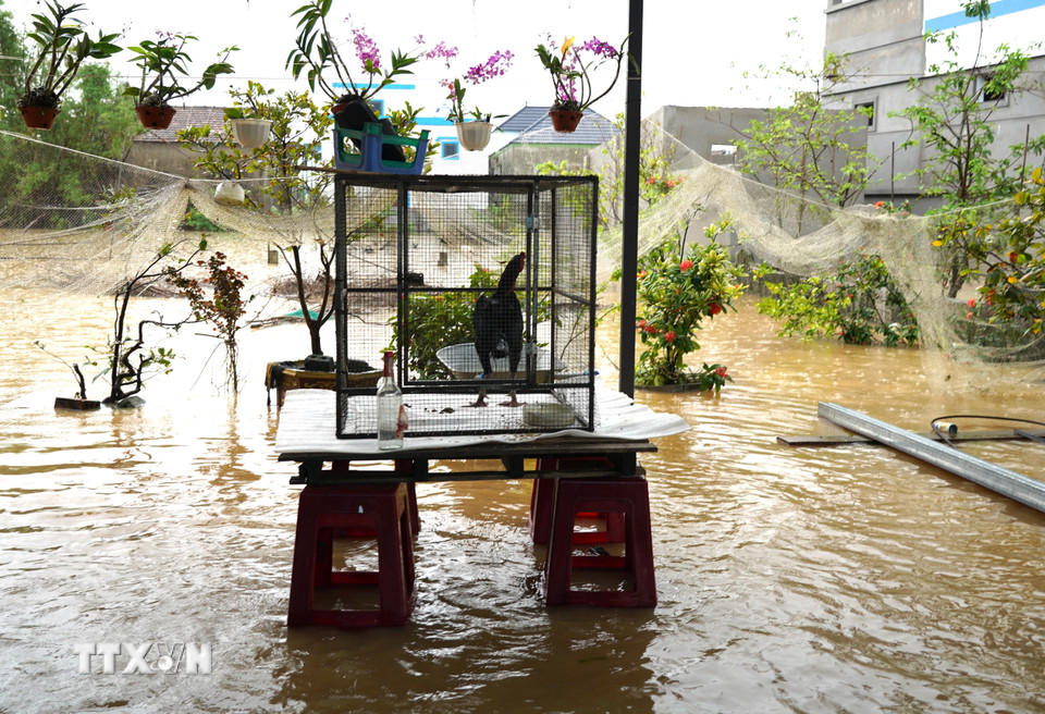 Người dân kê cao đồ đạc để bảo vệ tài sản trong cơn mưa lũ. (Ảnh: Thanh Thủy/TTXVN)