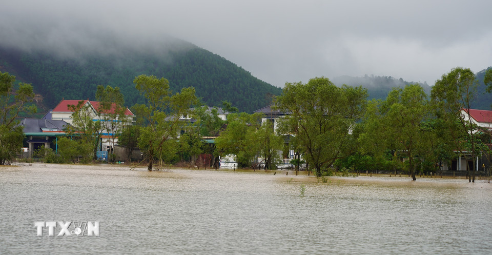 Mưa lớn khiến mực nước tại thôn Tiền Phong, xã Bắc Trạch dâng cao trong đêm. (Ảnh: Thanh Thủy/TTXVN)