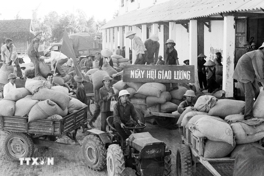 Ngày hội giao lương của huyện Quỳnh Lưu, tỉnh Nghệ Tĩnh (6/1978). (Ảnh: Lan Xuân/TTXVN)