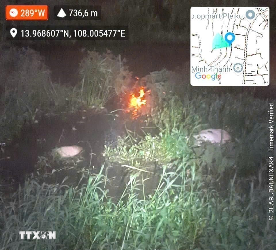 Lợn chết bị vứt tại khu vực suối Hội Phú, phường Hội Phú, tỉnh Gia Lai. (Ảnh: TTXVN phát)