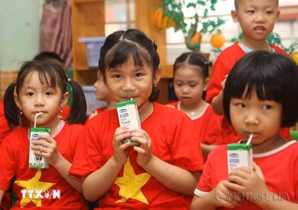 Với chương trình Sữa học đường của thành phố Hà Nội, tất cả trẻ em trong độ tuổi mầm non và tiểu học đều được uống sữa để phát triển. (Ảnh: Thanh Tùng/TTXVN)