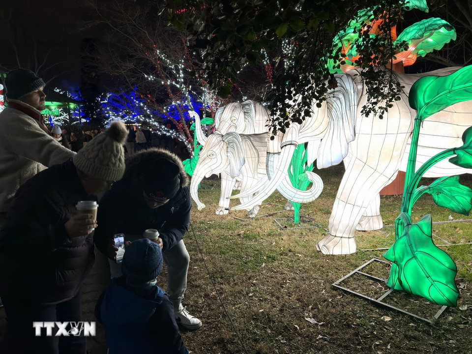 Khoảnh khắc sum vầy mang đến cảm giác ấm áp trong tiết trời giá lạnh. (Ảnh: Ngọc Quang/TTXVN)