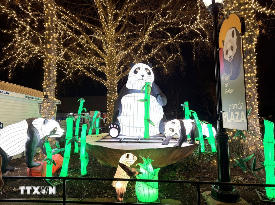 ZooLights được đánh giá cao không chỉ vì tính thẩm mỹ mà còn bởi thông điệp cộng đồng và môi trường. (Ảnh: Ngọc Quang/TTXVN)