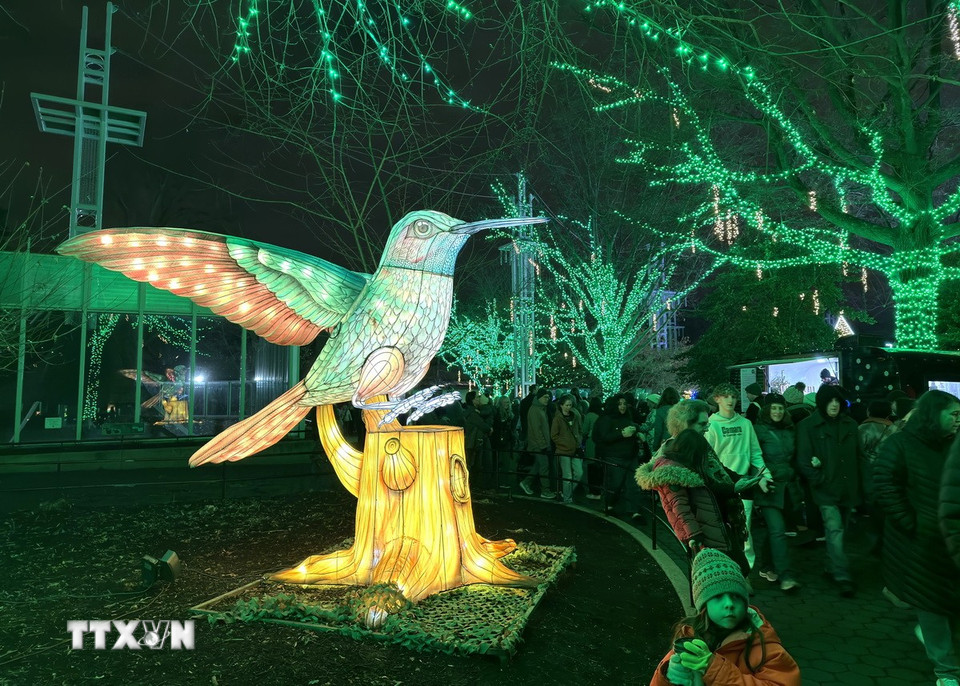 Khu vực trưng bày được bố trí hài hòa, tạo điểm nhấn thị giác ấn tượng cho du khách. (Ảnh: Ngọc Quang/TTXVN)