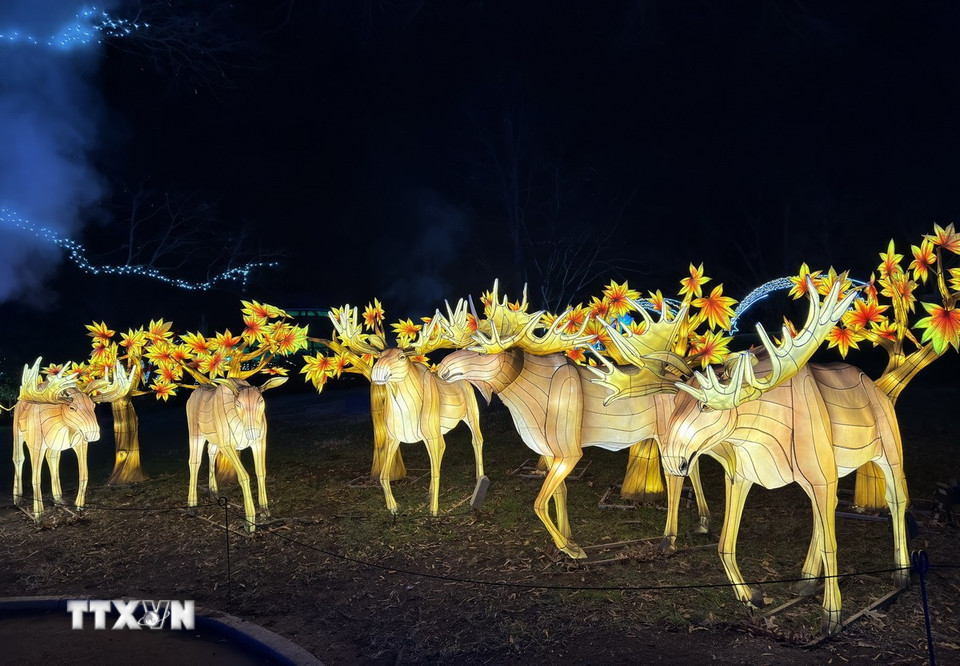 Các tác phẩm trang trí ánh sáng được thiết kế sáng tạo. (Ảnh: Ngọc Quang/TTXVN)