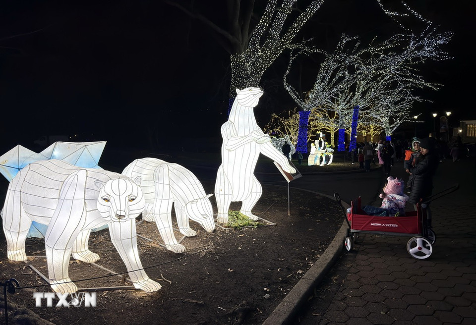 Lễ hội góp phần làm cho mùa Đông ở thủ đô nước Mỹ trở nên sinh động và đáng nhớ hơn. (Ảnh: Ngọc Quang/TTXVN)